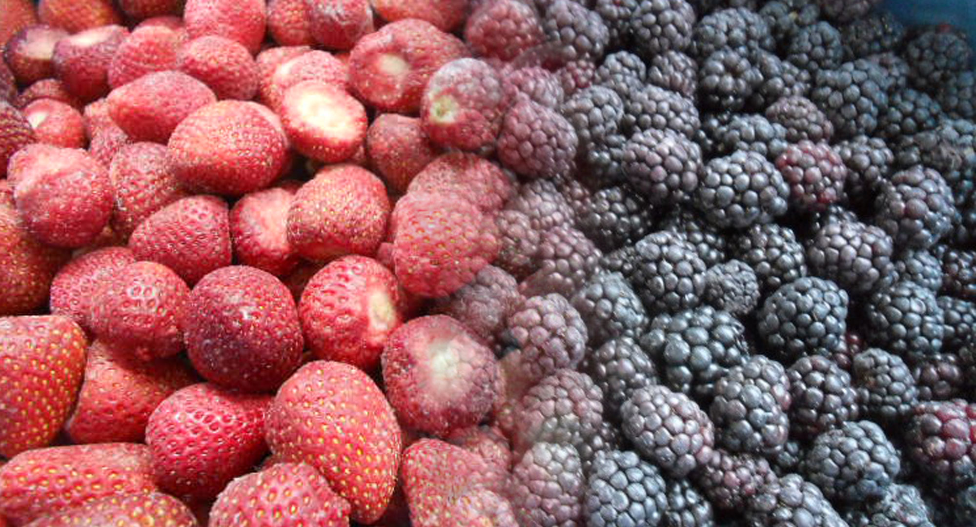 imagem demonstração