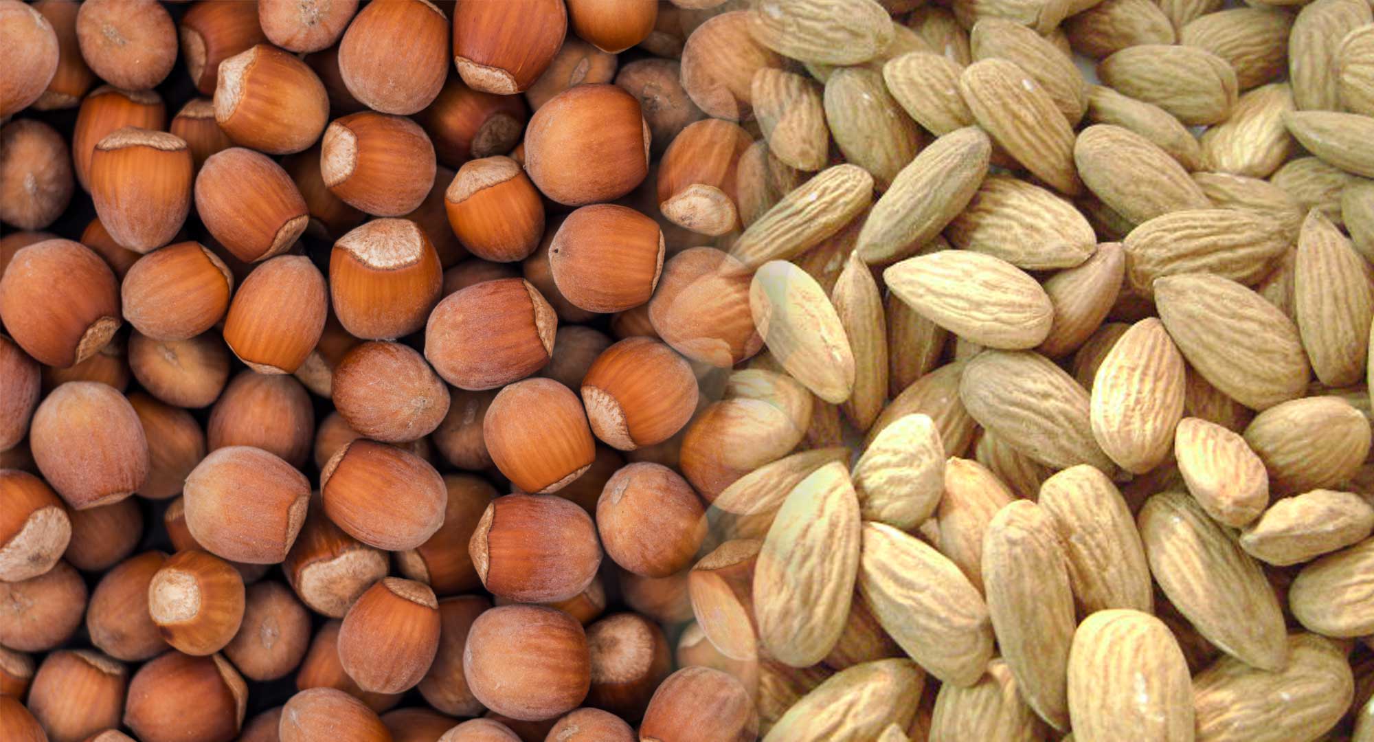 imagem demonstração